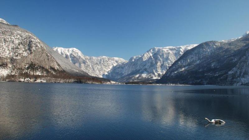 Ferienwohnung Krafttanken Hallstatt Buitenkant foto