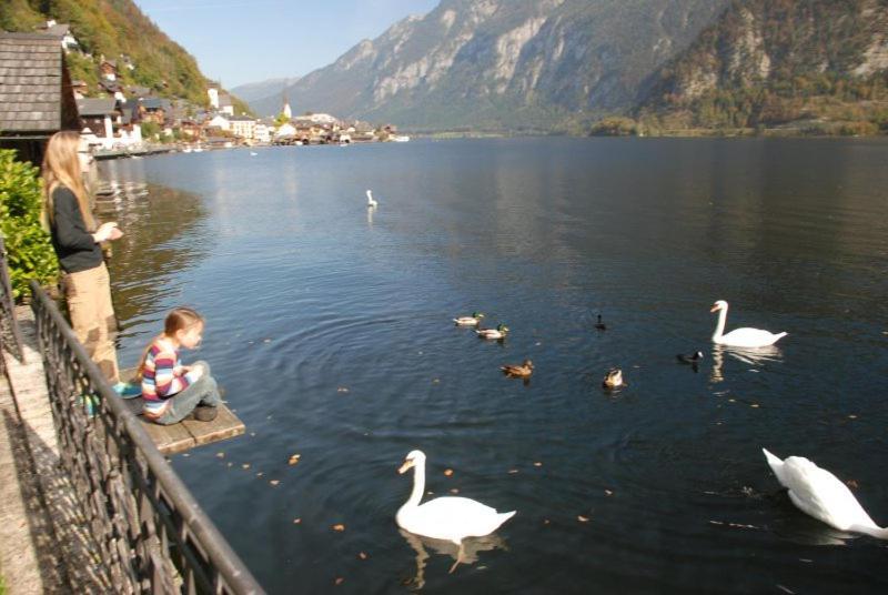Ferienwohnung Krafttanken Hallstatt Buitenkant foto