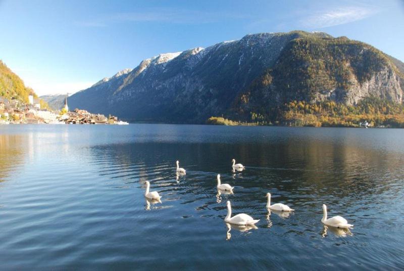 Ferienwohnung Krafttanken Hallstatt Buitenkant foto